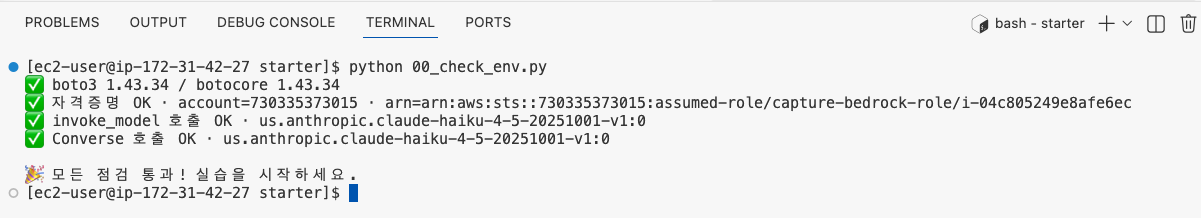 터미널에서 00_check_env.py 실행 결과 — 초록불 4줄 + 통과 메시지