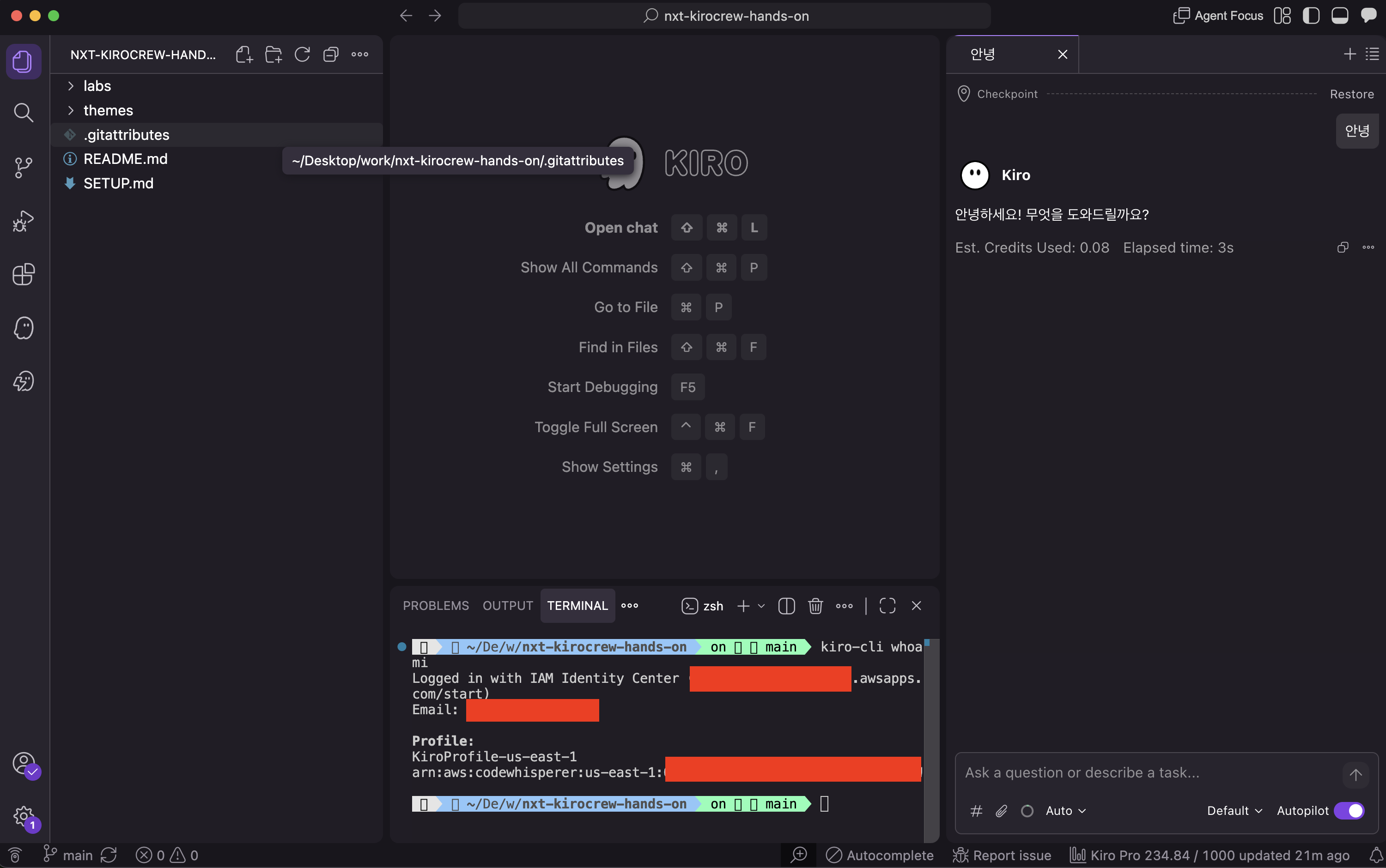 Kiro IDE에서 kiro-cli whoami 확인