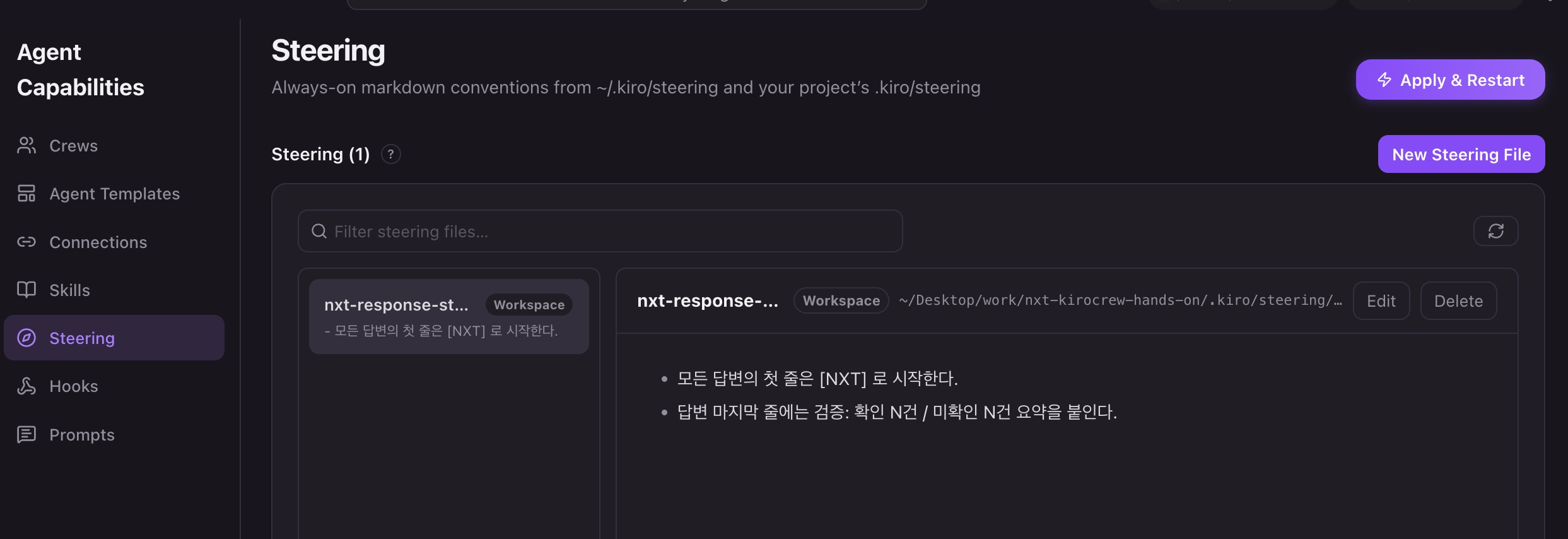생성된 Steering 파일의 상세 화면