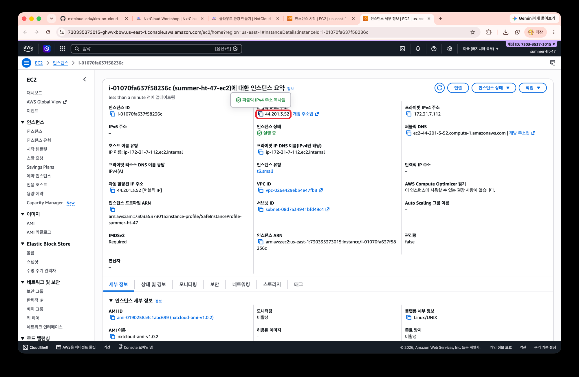 EC2 인스턴스 요약 화면에서 퍼블릭 IPv4 주소 왼쪽의 복사 아이콘이 표시되어 있다